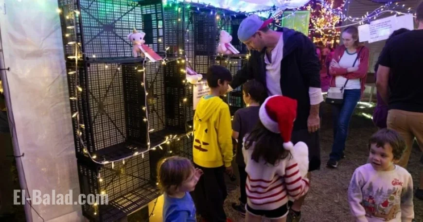 37th Street Lights’ Petting Zoo Swaps Stuffed Animals for Interactive Activities