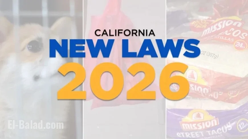 California 2026 Laws: Ban Plastic Bags, Impact Streaming, Regulate Chatbots