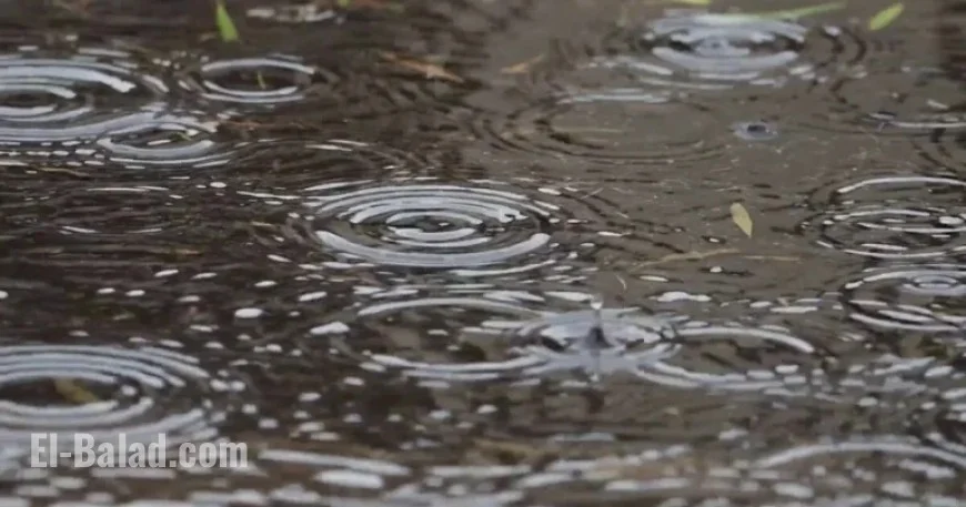 Breezy Winds and Showers Set to Move In Today