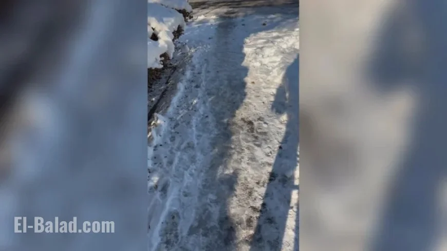 NYC Issues 150 Snow Shoveling Fines on Staten Island Post-Storm