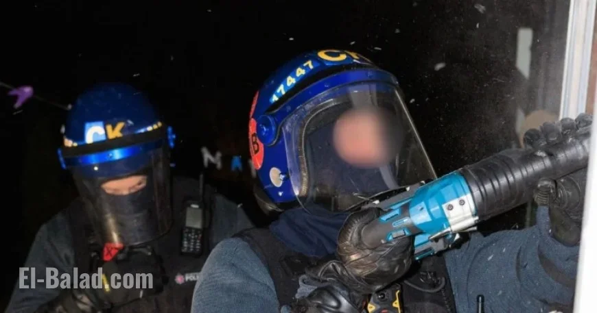 Dawn Raids Lead to Two Businessmen Arrested in Pizza Box Case