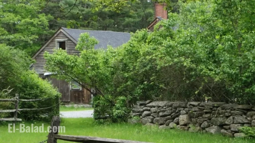 Matt Rife Attempts to Trademark ‘Conjuring House’: Key Insights