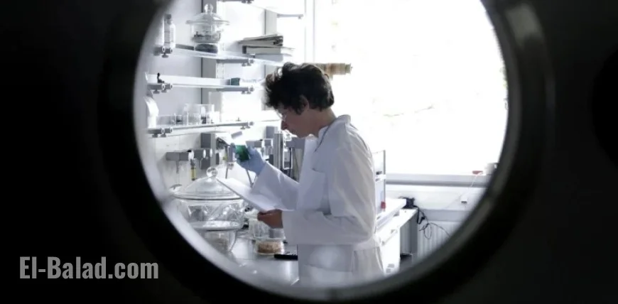 US Researchers Reflect: 2025 Science Cuts Nearly Break Their Careers