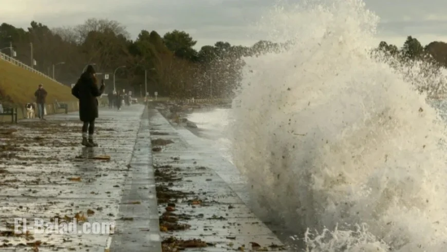 Wind Advisory Issued for Greater Victoria Area