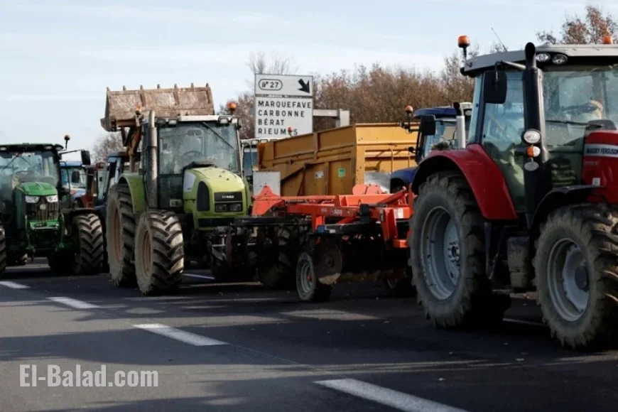 France Accelerates Vaccination Amid Ongoing Dermatose Protests
