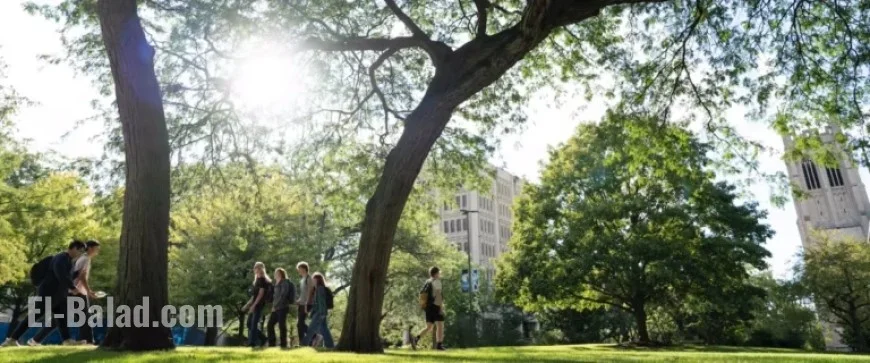 Tree Maintenance and Removal on Campus Starts Thursday