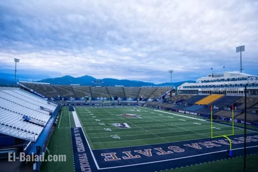 Montana vs. Montana State: FCS Semifinals Preview, Time, and TV Channel