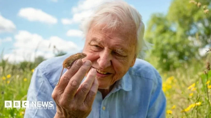 Why David Attenborough Chooses London as His Exclusive Home