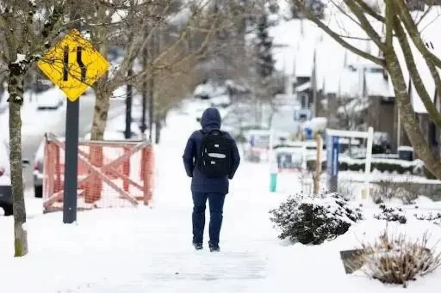Surrey, White Rock, Lower Mainland Unlikely to See a White Christmas