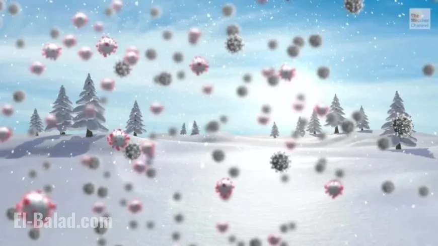 Norovirus Cases Surge with Winter Onset