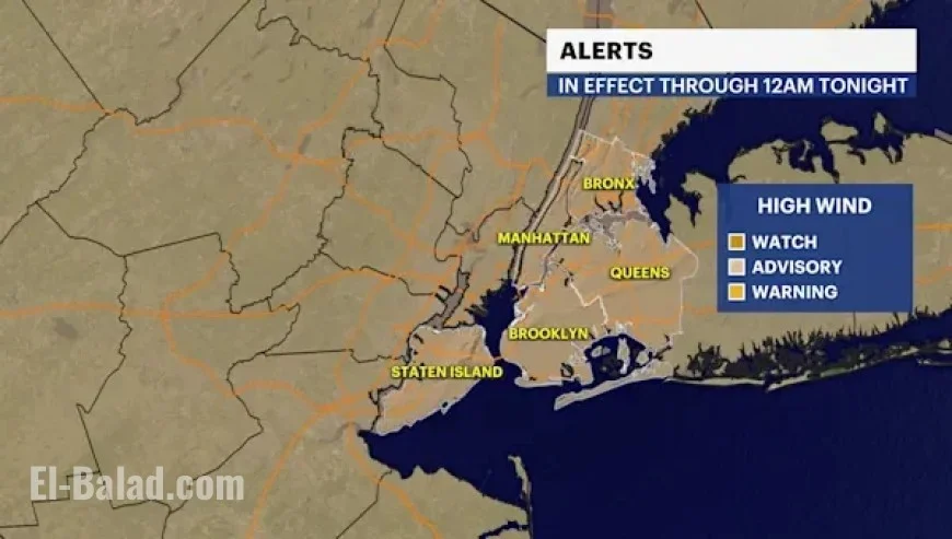 Storm Watch: Heavy Rains and Flooding Hit Bronx Areas