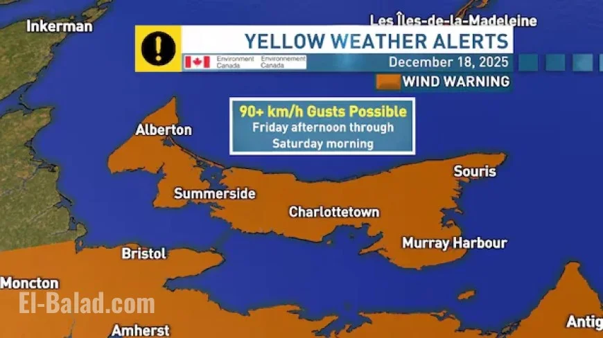 P.E.I. Braces for Weekend Winds Reaching 100 km/h