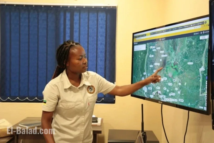 Tech Transforms Ranger Tactics, But Can’t Halt Poaching Alone