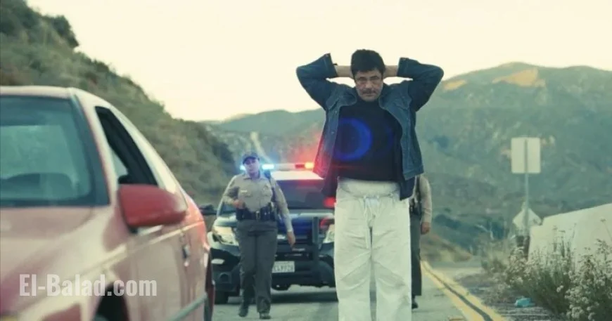 Top 2025 Films Revealed: Audience Favorites