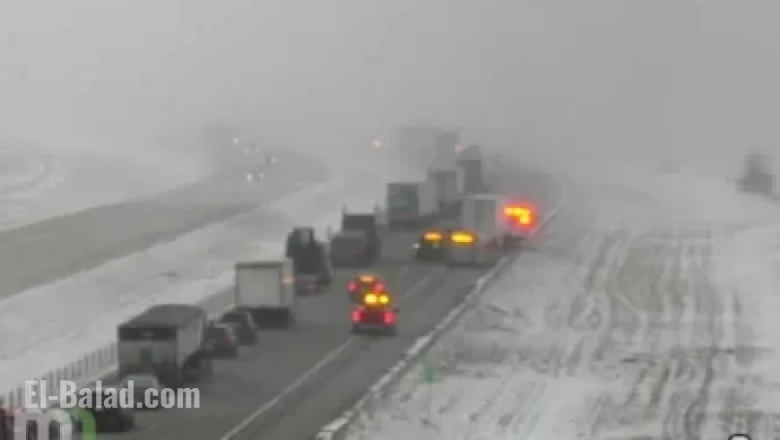 Caroline Dubois vs Camilla Panatta: December 19 Predictions and Betting Odds