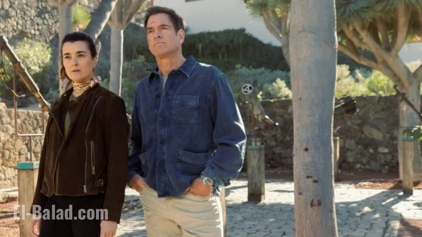 Canceled ‘Tony & Ziva’: What Season 2 Could Have Explored