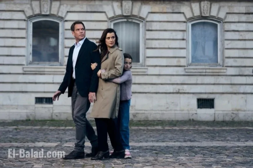 “Paramount+ Cancels ‘Tony & Ziva’ After One Season”