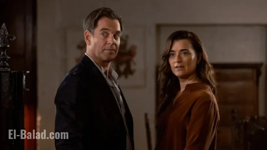 Paramount+ Cancels ‘Tony & Ziva’ After Single Season
