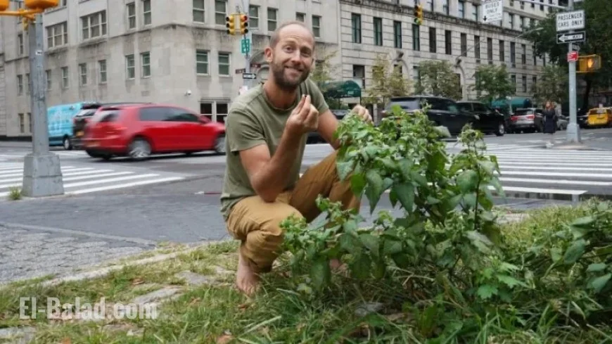 Host a Forage Feast Without Endangering Your Guests