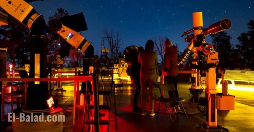 Discover the City’s Top Winter Show Under Pitch-Black Skies