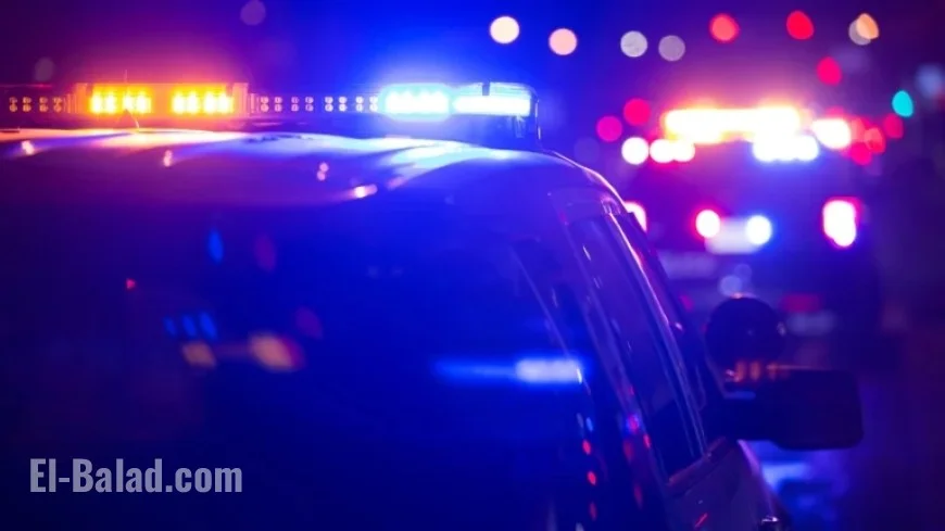 Willow Springs Police: Body Found Near Archer Avenue Tied to Missing Justice, IL Case