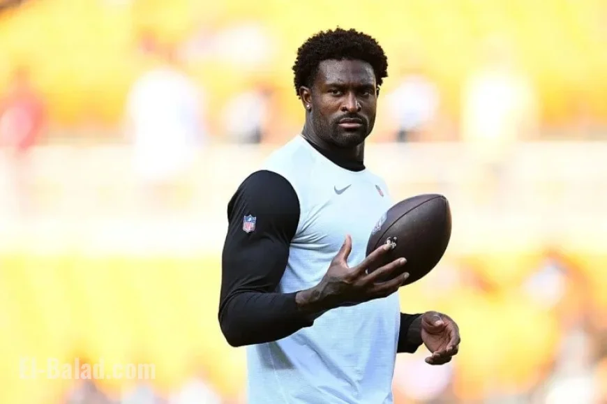 Steelers’ DK Metcalf Confronts Fan in Sideline Altercation Against Lions