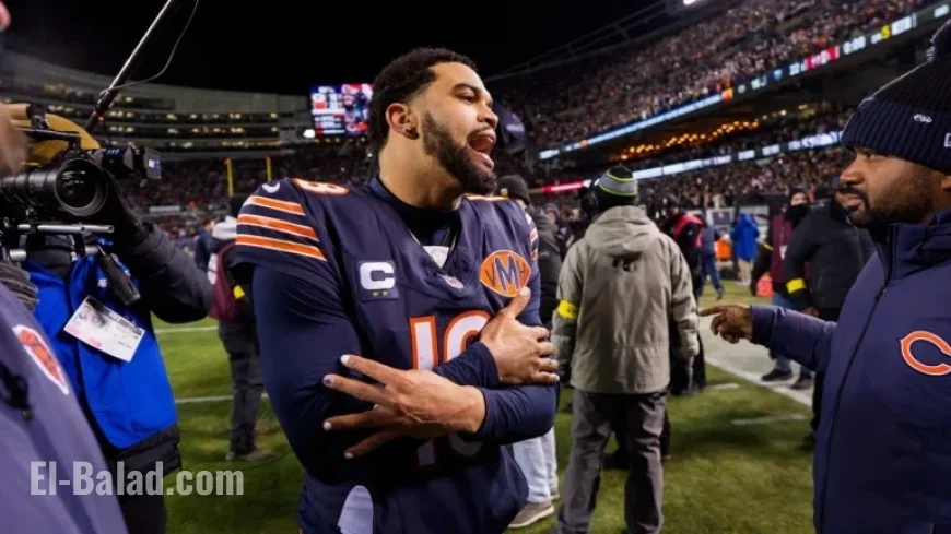 Bears, 49ers Secure Playoff Places After Lions’ Defeat