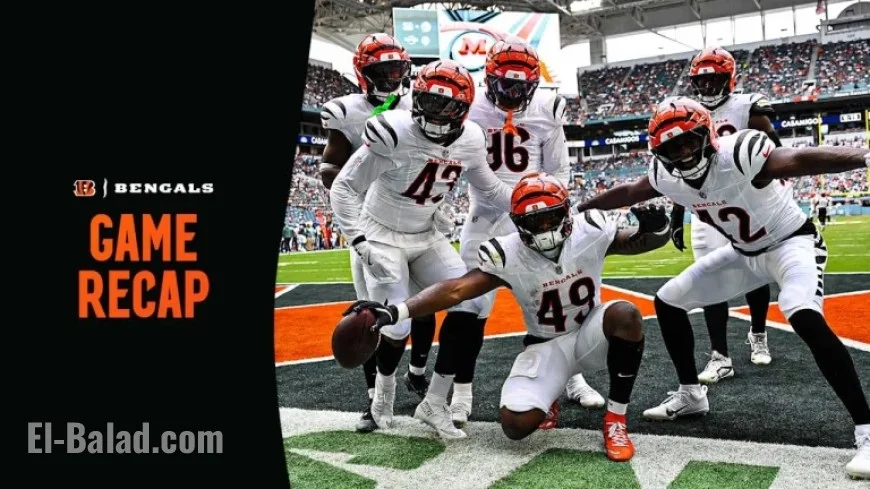 Bengals vs. Dolphins: Key Stats, Highlights, and Postgame Insights