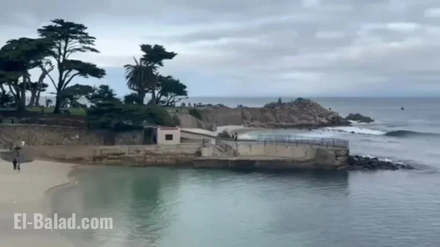 Authorities Search for Missing CA Swimmer After Suspected Shark Attack