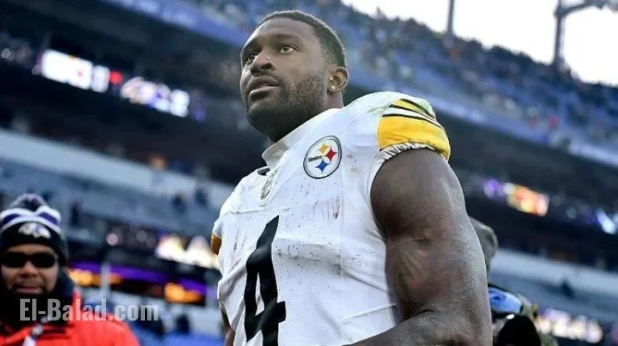 Steelers’ Metcalf Allegedly Punches Fan in Game Incident