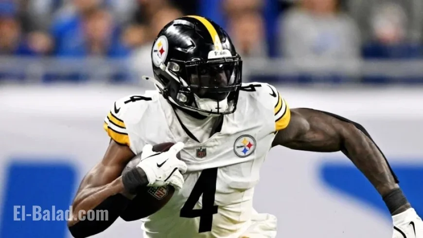 Lions Fan’s Provocation Sparks Clash with Steelers’ DK Metcalf