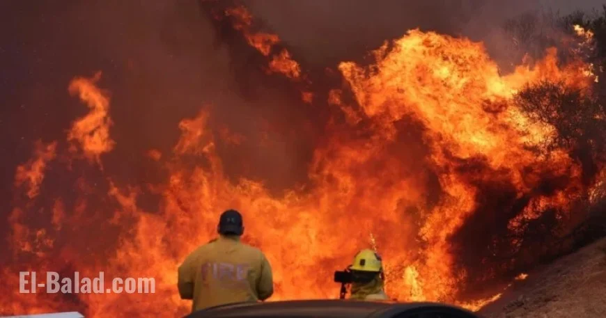 LAFD Records Reveal Edited Palisades Fire Report