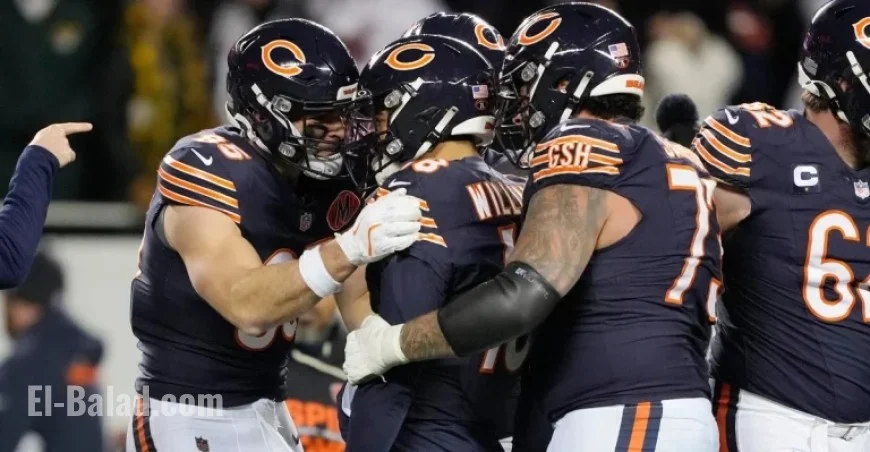 Bears Celebrate Most Unexpected Victory of the Year