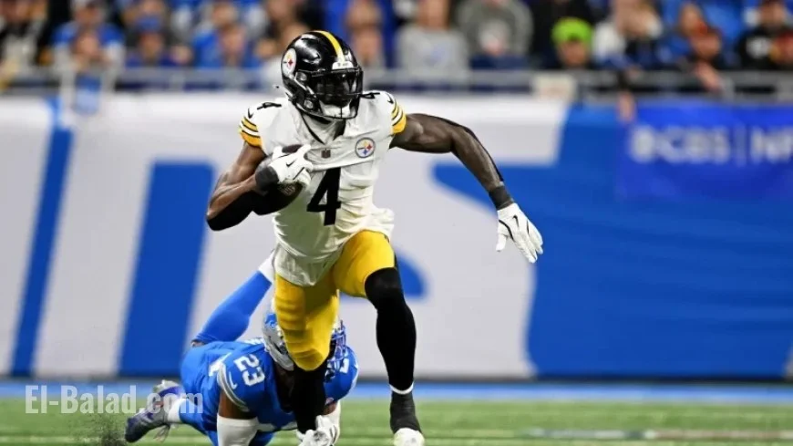 Alternate Angle of DK Metcalf Fan Punch Video Emerges from Steelers Game