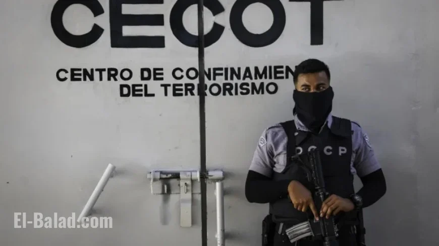 Judge Rules Alien Enemies Act Deportations Breached Due Process: NPR