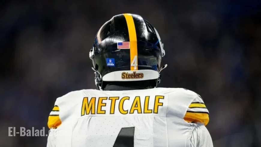 NFL Suspends DK Metcalf for Two Games After Fan Incident