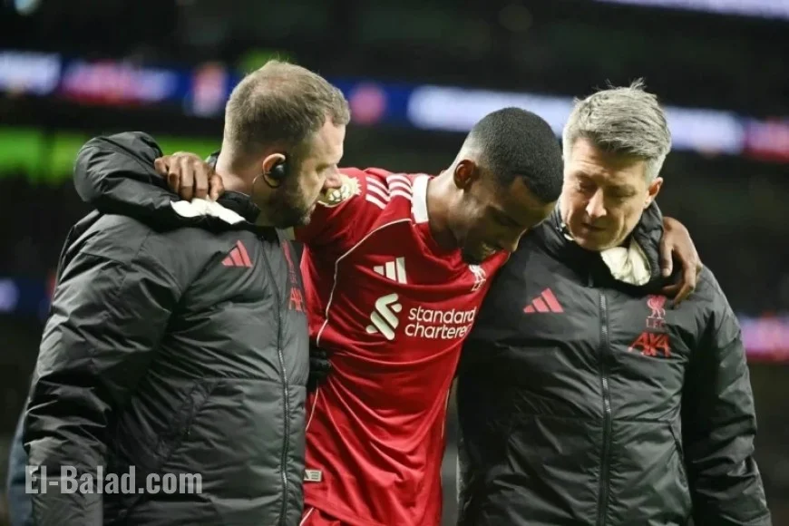 Alexander Isak: Concerns Rise Over Potential Broken Leg in Tottenham Clash