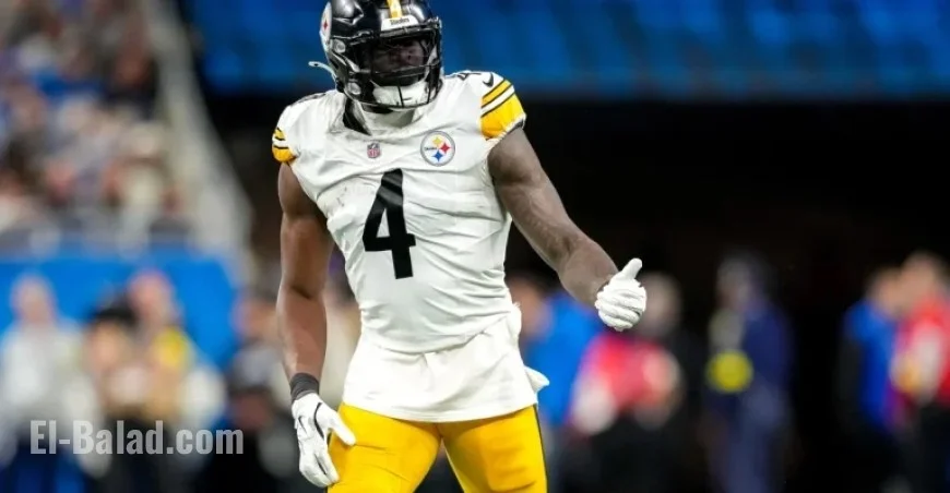 DK Metcalf Suspended 2 Games Following Fan Altercation Details