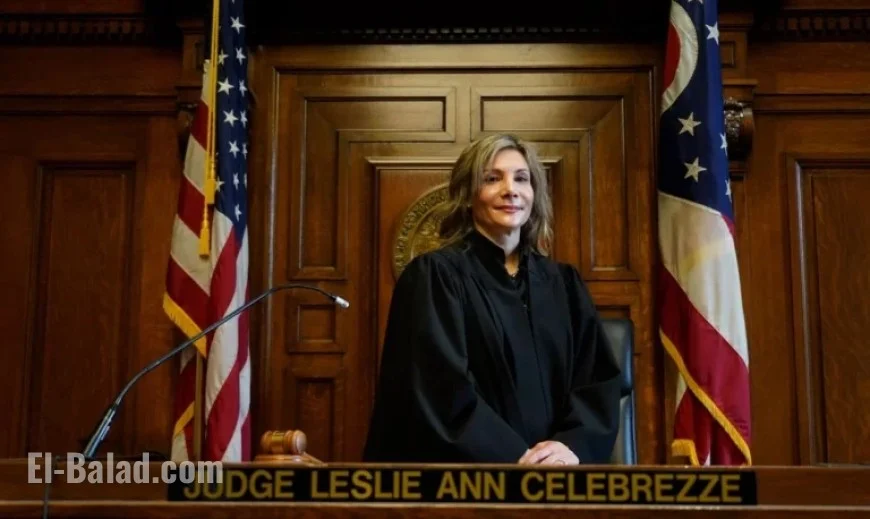 Judge Leslie Ann Celebrezze Resigns Amid Felony Charge