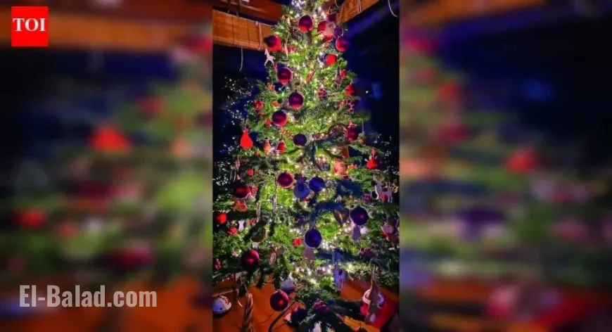 Celebrities Share Personal Stories Behind Their Festive Christmas Trees