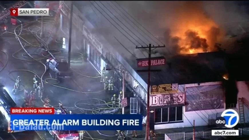 Major Blaze Engulfs San Pedro Commercial Building