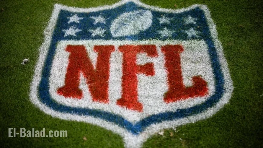 NFL Reviews Fan Conduct at Steelers-Lions Game