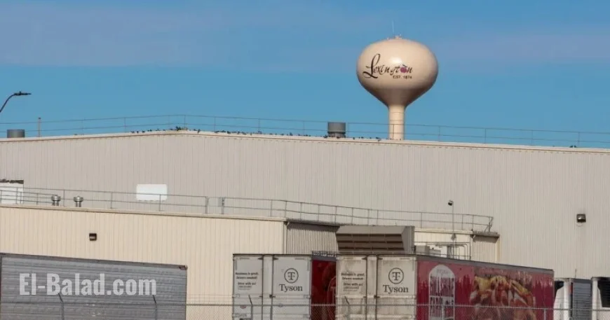 Tyson Foods Closure Spurs $3.3 Billion Annual Economic Losses: UNL Report