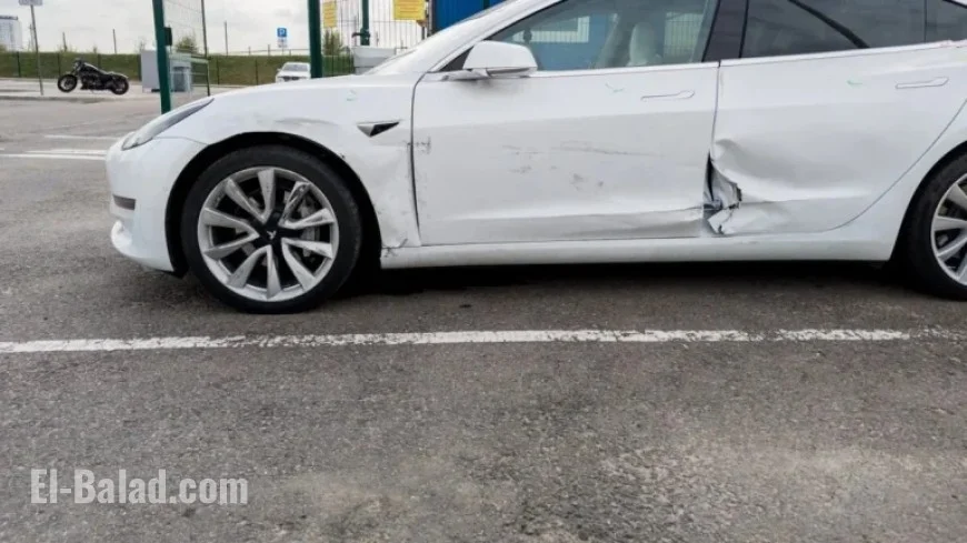 Elon Musk Insisted on Controversial Tesla Doors Despite Warnings