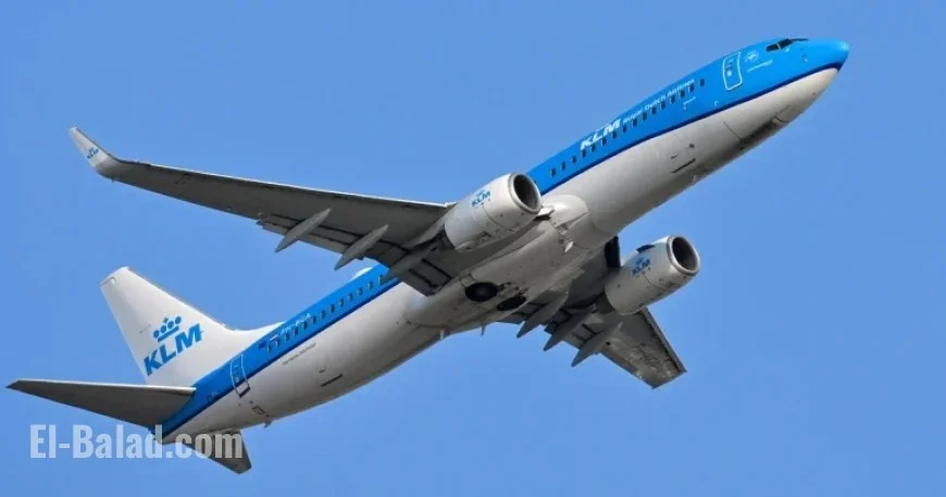 Virginia Family Sues Delta, KLM Over In-Flight Bedbug Attack