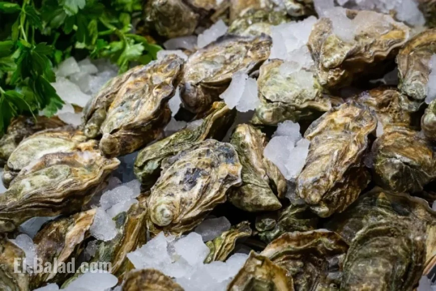 Marylander Sickened in Multi-State Salmonella Outbreak Linked to Raw Oysters