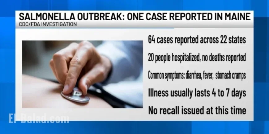 Salmonella Outbreak Affects Multiple States, Including Maine
