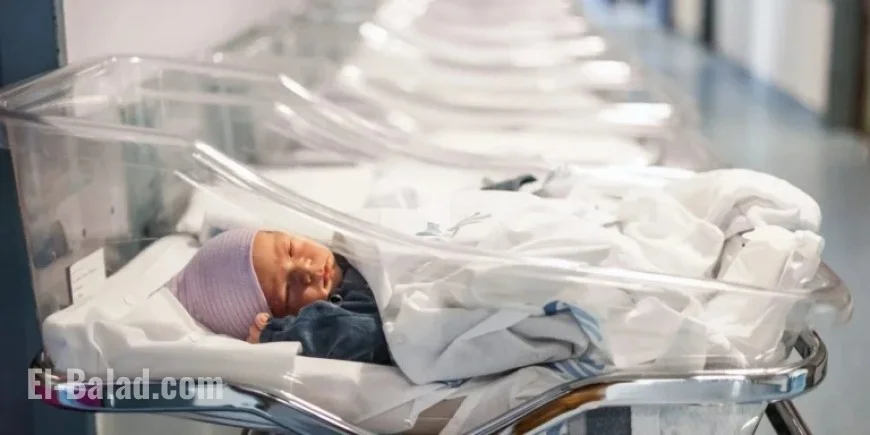 Chinese Billionaire Aims to Expand Legacy with U.S.-Born Sons