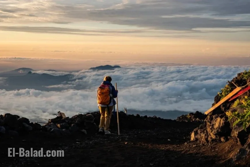 Ascending Mount Fuji: Discover Udon Noodles at 12,000 Feet