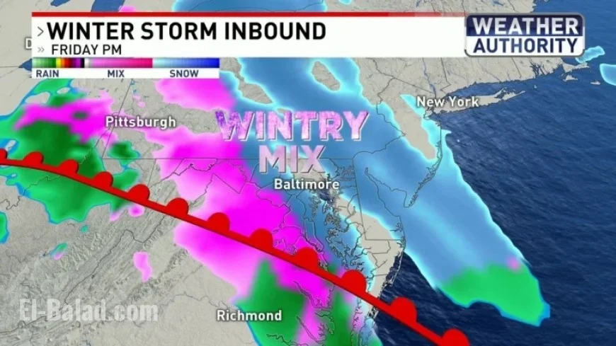 Sleet and Freezing Rain Forecasted in Maryland Winter Weather Alert